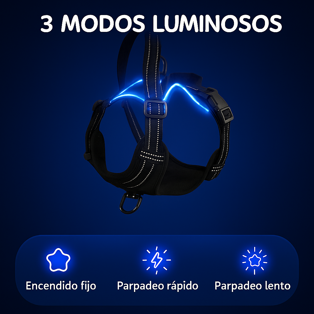 Arnes Led Ergonomico