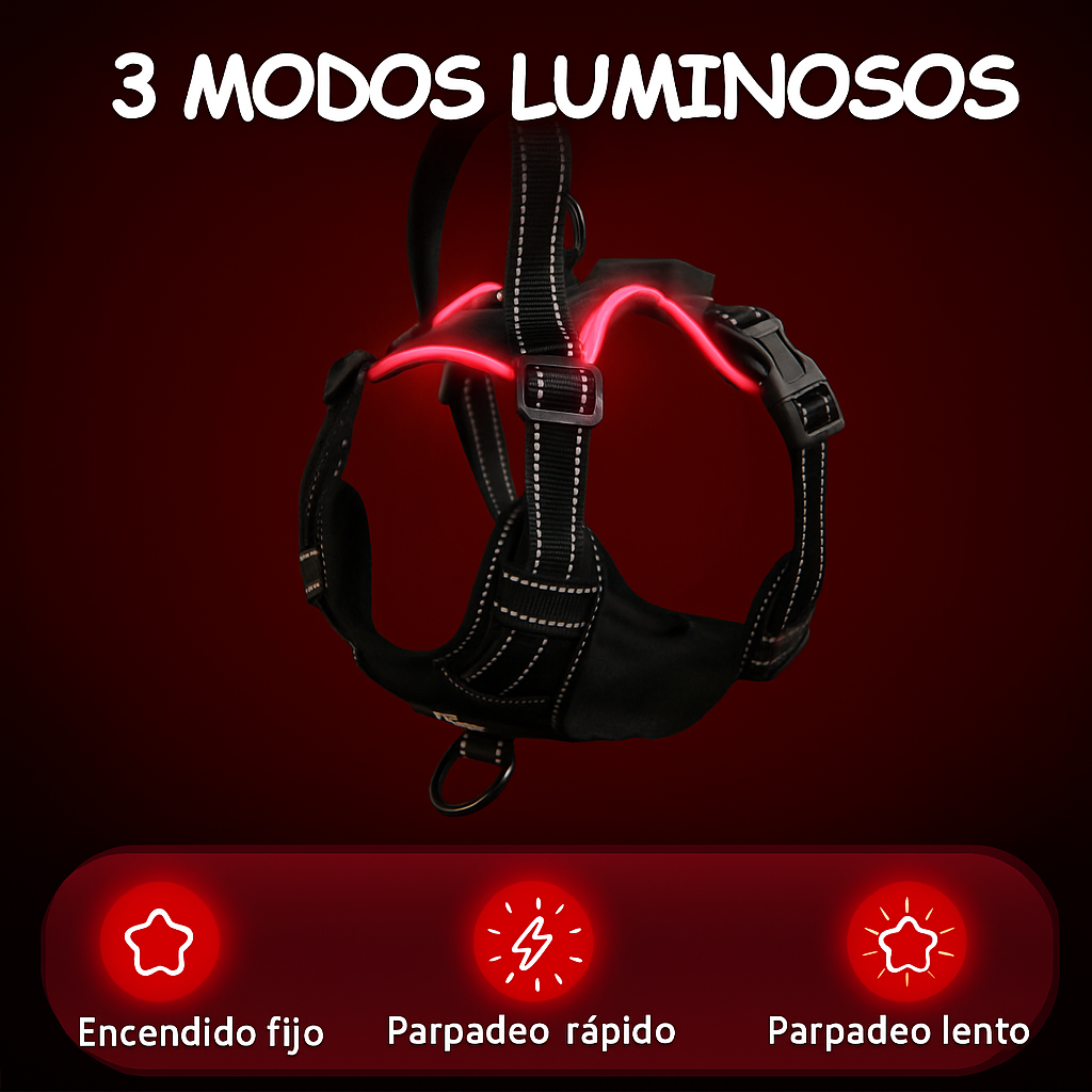 Arnes Led Ergonomico